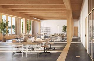 Gewerbeimmobilie kaufen in 69124 Kirchheim, "Speicherschmid" – Hier wird auf 750 qm Zukunft geschmiedet