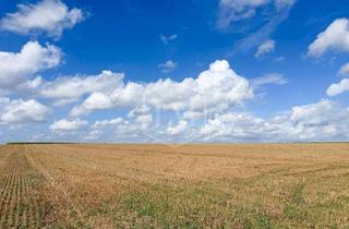 Immobilie kaufen in 47551 Bedburg-Hau, Ackerland in Bedburg-Hau