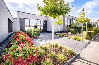 Gewerbeimmobilie mieten in 30966 Hemmingen, Attraktive Store-in-Store Ausstellungsfläche