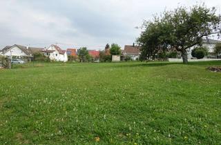 Gewerbeimmobilie kaufen in 72766 Reutlingen, Inverstment & Freizeit vereint: Bauerwartungsland / ideal als Freizeit- oder Pferdehaltungsfläche