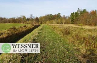 Gewerbeimmobilie kaufen in 16727 Oberkrämer, Wiese / Wald am Erlenbruch zwischen Bötzow und Schönwalde
