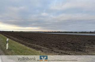 Gewerbeimmobilie kaufen in 85123 Karlskron, Feld zwischen Pobenhausen und Adelshausen