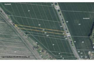 Gewerbeimmobilie kaufen in 16868 Wusterhausen, Landwirtschaftsflächen bei Wusterhausen/ Dosse