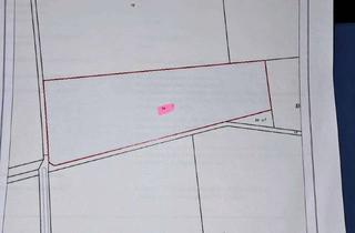 Gewerbeimmobilie kaufen in 49457 Drebber, Ackerfläche in Drebber/ Cornau zu verkaufen