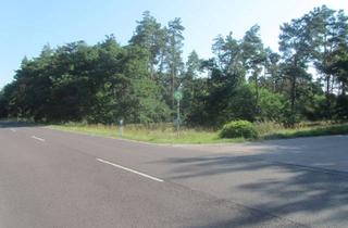 Gewerbeimmobilie kaufen in 06385 Aken, Waldfläche mit landwirtschaftlicher Teilfläche; Mindestgebot: 12.650 €; Einzelheiten siehe Exposee!!