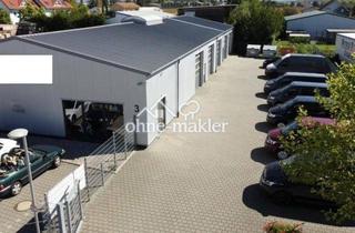 Gewerbeimmobilie kaufen in Kornstr. 3, 79258 Hartheim, Gewerbehalle-vielseitig Nutzbar