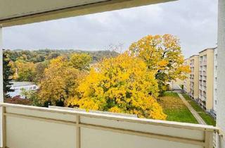 Wohnung mieten in Dresdner Straße 299g, 01705 Freital, Reinschauen lohnt sich!