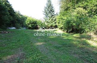 Grundstück zu kaufen in 56323 Waldesch, Waldesch, Bauland auf 2432m² Grundstück, gesamt 8326m², ruhig, Bach, Ortsrand, Wald, unverbaubar, ..