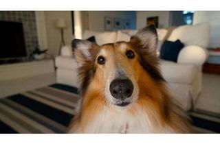 Haus kaufen in 48599 Gronau, Stilvoll, modern, dein Zuhause! Der Bungalow von Bien-Zenker für ein Leben in Harmonie.