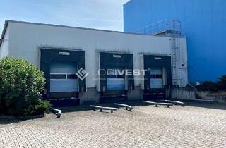 Gewerbeimmobilie mieten in 15328 Küstriner Vorland, Vielseitige Lager- und Produktionshalle mit Tiefkühllager nahe der polnischen Grenze!