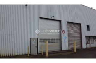 Gewerbeimmobilie mieten in 08468 Heinsdorfergrund, Lagerhalle nahe der A72!