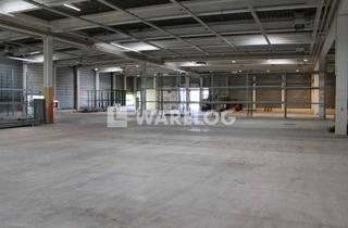 Gewerbeimmobilie kaufen in 89188 Merklingen, TOP Hallenflächen mit Rampe & ebenerdigem Zugang | Hochregallager | Produktion, Lager, Logistik!
