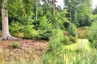 Grundstück zu kaufen in 16835 Lindow (Mark), FINALER PREIS + PROVISIONSFREI | 25.000qm Grundstück mit Rohbau-Bungalow, Garage und Forsthaus