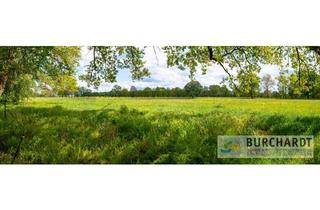 Grundstück zu kaufen in 16548 Glienicke, Eines der letzten Grundstücke am schönen Kindelfließ