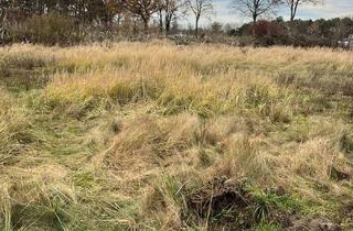 Grundstück zu kaufen in 38551 Ribbesbüttel, *Courtagefrei* Großzügiges und teilbares Grundstück in Ribbesbüttel / Vollbüttel