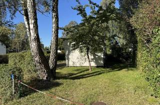 Grundstück zu kaufen in 17449 Trassenheide, Erschlossenes Baugrundstück auf der Insel Usedom