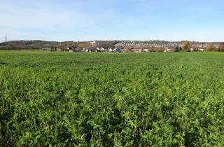 Gewerbeimmobilie kaufen in 72768 Reutlingen, Attraktives Ackerland – alternativ als Freizeit- oder Pferdefläche nutzbar