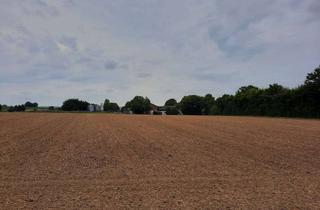 Gewerbeimmobilie kaufen in 73257 Köngen, Gut bewirtschaftbares Ackerland – sofort verfügbar