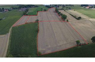 Gewerbeimmobilie mieten in 48356 Nordwalde, Ca. 9,5 ha Ackerland in Nordwalde-Suttorf