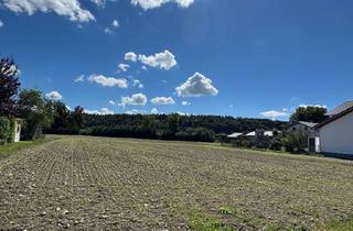 Grundstück zu kaufen in 84524 Neuötting, Grundstück zu verkaufen