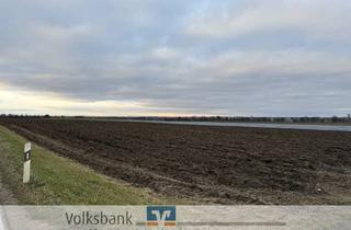 Immobilie kaufen in 85123 Karlskron, Feld zwischen Pobenhausen und Adelshausen