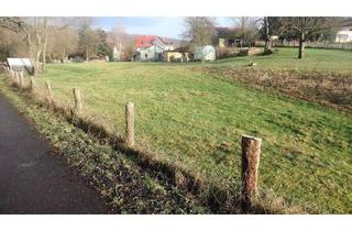 Einfamilienhaus kaufen in 99826 Mihla, Amt Creuzburg - Das Einfamilienhaus mit dem schönen Satteldach in Amt Creuzburg OT Frankenroda - Freundlich und g...