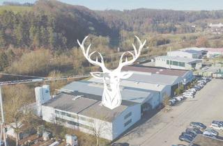Haus kaufen in 79793 Wutöschingen, Wutöschingen - Vielseitiges Gewerbeareal mit Lager-, Produktions-, Büro- und Außenflächen inkl. vermietetem Fitnessstudio zu verkaufen