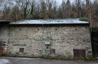 Haus kaufen in 98743 Gräfenthal, Gräfenthal - Bierkeller Bunker Halle Gewölbekeller Brauerei