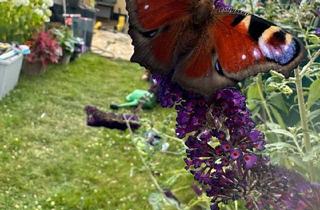 Doppelhaushälfte kaufen in 46047 Oberhausen, Oberhausen - Doppelhaushälfte zu Verkaufen