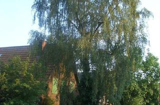 Einfamilienhaus kaufen in 49525 Lengerich, Lengerich - Haus am wunderschönen Teutoburger Wald