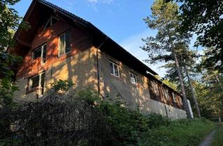 Haus kaufen in 99338 Plaue, Plaue - WOHNHAUS, WALDGRUNDSTÜCK mit Nebengebäuden