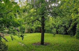 Haus kaufen in 87751 Heimertingen, Heimertingen - EFH in ruhiger Lage