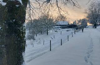 Bauernhaus kaufen in 51570 Windeck, Windeck - BAUERNHOF - PFERDEHOF - 4 HEKTAR WEIDE DIREKT AM HAUS
