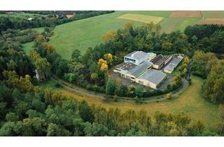 Haus kaufen in 72401 Haigerloch, Haigerloch - Außergewöhnliches, großzügiges Gewerbeanwesen in Haigerloch