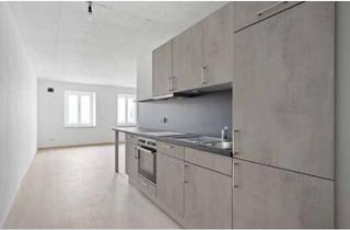 Wohnung mieten in Pferdstraße 44, 86633 Neuburg, Neuwertige 1-Zimmer-Wohnung mit EBK in top Lage