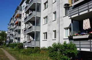 Wohnung mieten in Erich-Weinert-Str. 15, 14478 Waldstadt I, Sanierte 3. Zimmer in Waldstadt