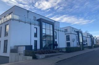 Wohnung mieten in Robert-Koch-Straße, 32427 Minden, Sehr attraktive 3-Zimmer-Wohnung mit großem Balkon in Mindener Top-Lage