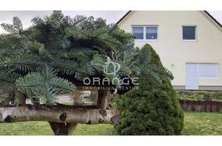 Haus kaufen in 19370 Parchim, ***Haus mit 3 Wohnungen und großem Garten in bester Lage***