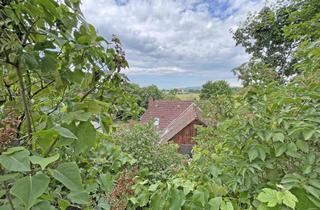 Haus kaufen in 31171 Nordstemmen, Verwirklichung auf 4 Ebenen mit Leineblick, unweit der Marienburg - ZFH mit Doppelgarage, 3 Terrasse