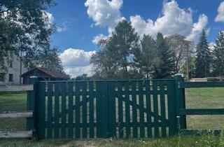 Grundstück zu kaufen in 15938 Steinreich, Idyllisches Baugrundstück bei Berlin – gestalten Sie Ihr Traumhaus mit herrlichem Ausblick!