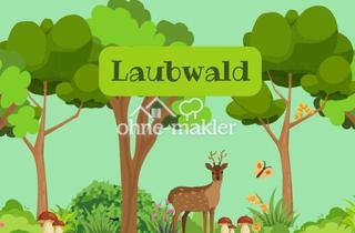 Grundstück zu kaufen in 23936 Rankendorf, Naturwald in Ostseenähe!