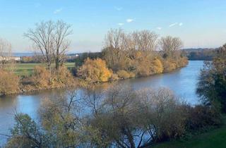 Wohnung mieten in 63500 Seligenstadt, Einzigartige Perle in Seligenstadt am Main