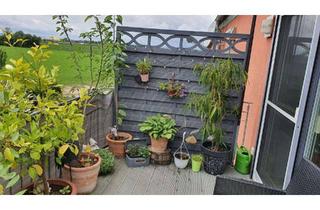 Wohnung mieten in Unterheising, 93092 Barbing, Helle 2-Zimmer-Wohnung mit Balkon in Barbing/Unterheising