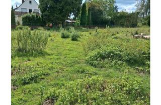 Einfamilienhaus kaufen in 49191 Belm, Charmantes Einfamilienhaus mit großem Grundstück in Belm – Ideal für Familien und Naturliebhaber