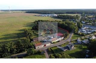 Grundstück zu kaufen in 06888 Lutherstadt Wittenberg, 5.300 m² Freiheit: Baugrundstück mit naturbelassenem Areal