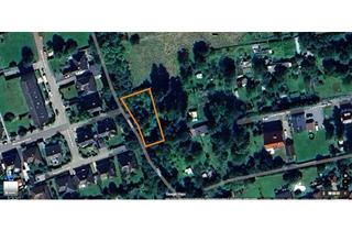 Grundstück zu kaufen in 31655 Stadthagen, Stadthagen. Naturbelassenes Grünland-Grundstück innerorts direkt am Bach Hülse.