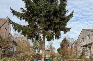 Grundstück zu kaufen in 52249 Eschweiler, Baugrundstück für freistehendes Wohnhaus in Eschweiler - Röhe!!!