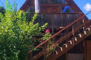 Immobilie mieten in Zum Quellental 73, 04889 Schildau, Charmante 1,5-Zimmer Wohnung, 1. OG, Erstbezug nach Sanierung in Schildau