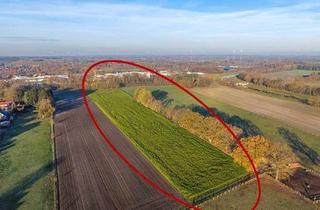 Gewerbeimmobilie kaufen in 49565 Bramsche, Gut geschnittene ca. 2 ha große Ackerfläche in Sögeln !