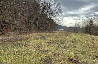 Immobilie kaufen in 83365 Nußdorf, Wiese (mit oder ohne Unterstand) als Ausgleichsfläche, Freizeit oder Hobbygrund zu verkaufen